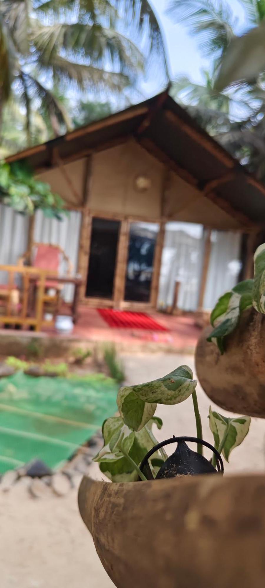 Te Amo Boutique Stays Kumta エクステリア 写真